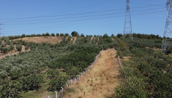Mudanya Küçükyenice Satılık 1100 m² Ormana Cephe Tarla