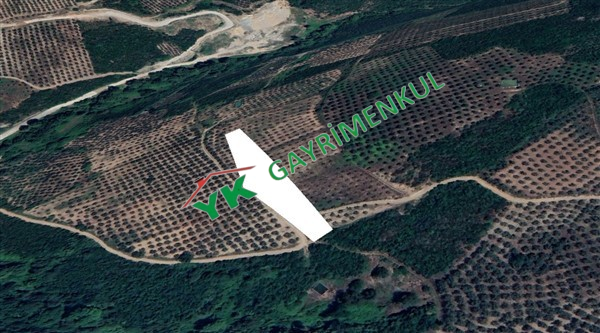 KÜÇÜK KUMLA 3500 M2 DENİZ VE BARAJ MANZARALI YOLU SUYU OLAN ZEYTİNLİK